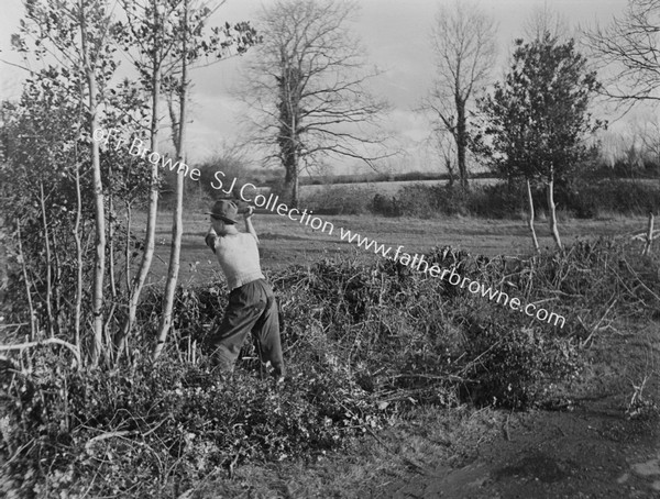 FORESTRY MAN AT WORK